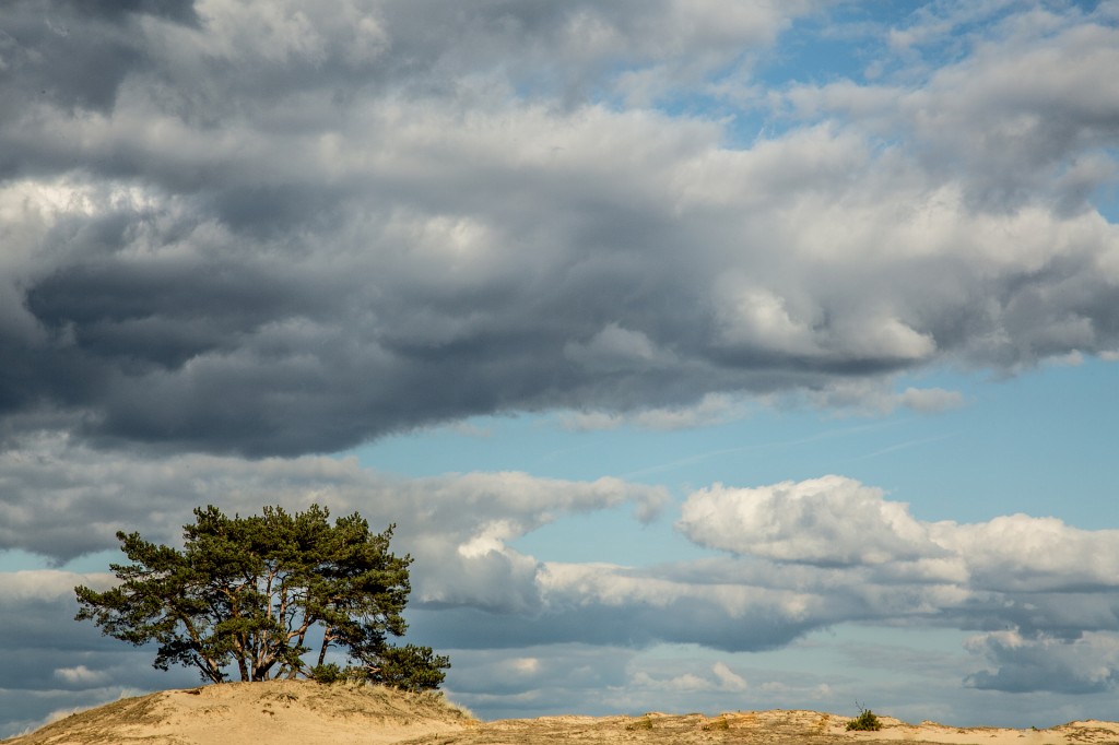 Natuur in Gelderland