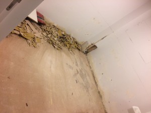img-20160915-wa0001
